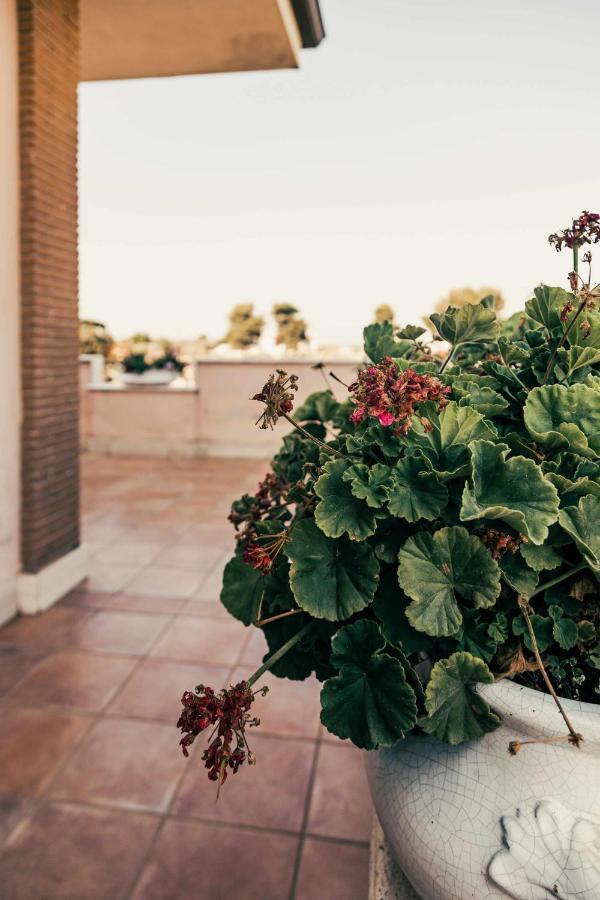 Bed And Breakfast Villa Romano อันซีโอ ภายนอก รูปภาพ